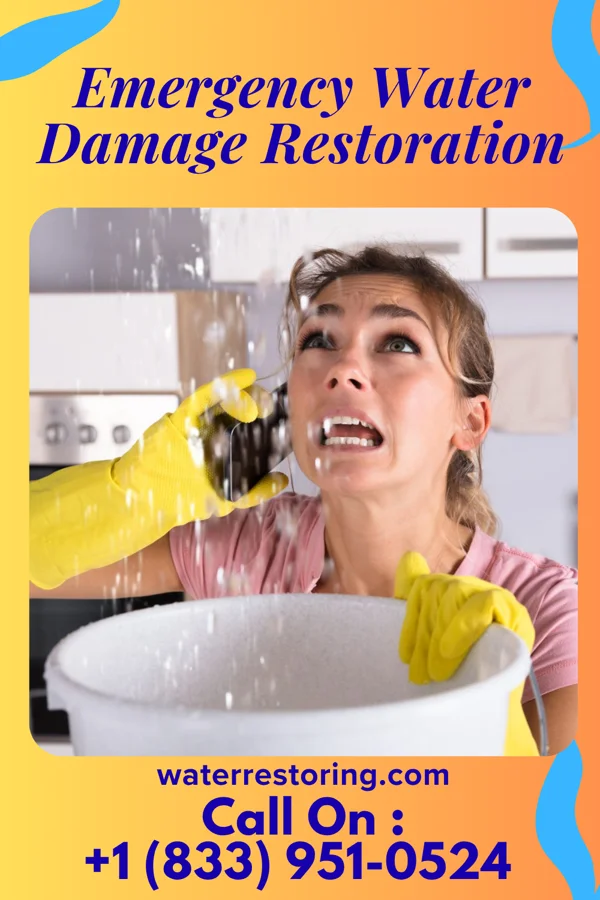 Emergency Water Damage Restoration in Cactus Forest, AZ